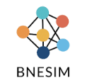 BNESIM logo