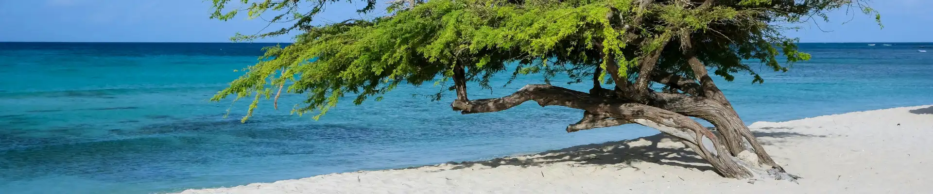 Forfait eSIM Aruba