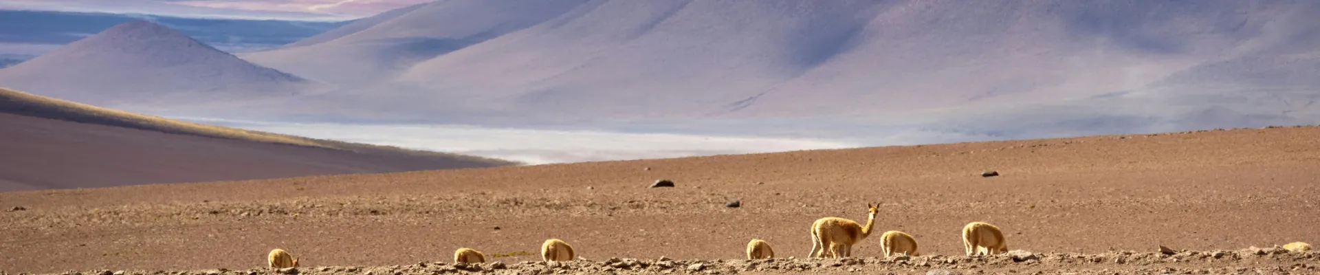 Forfait eSIM Bolivie