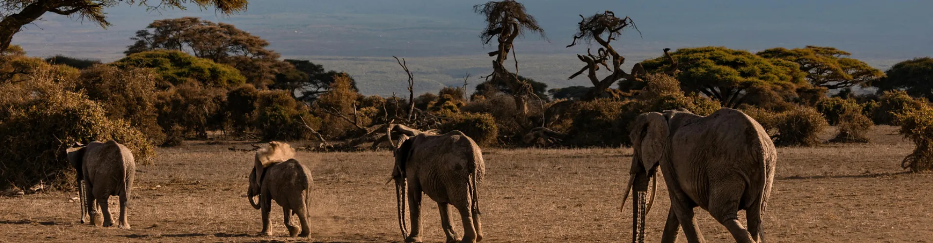 Forfait eSIM Kenya