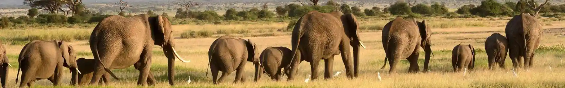 Forfait eSIM Namibie