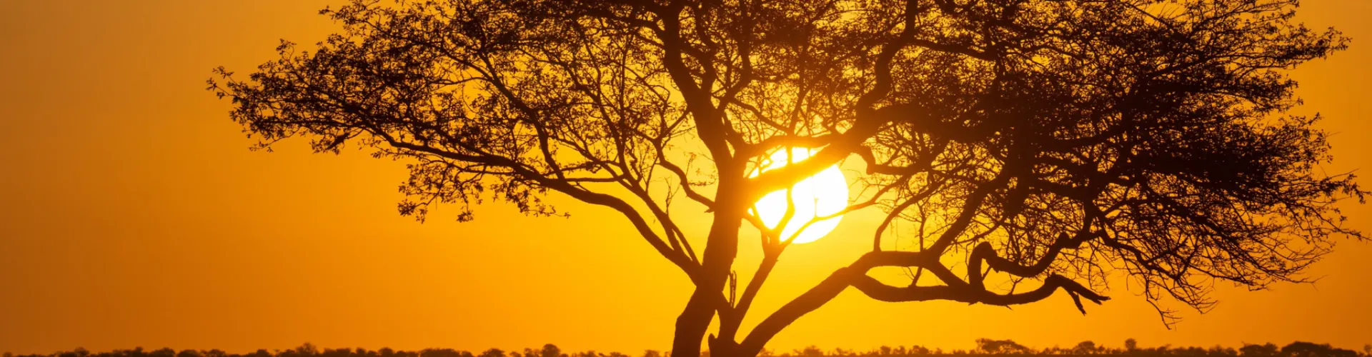 Forfait eSIM Tanzanie