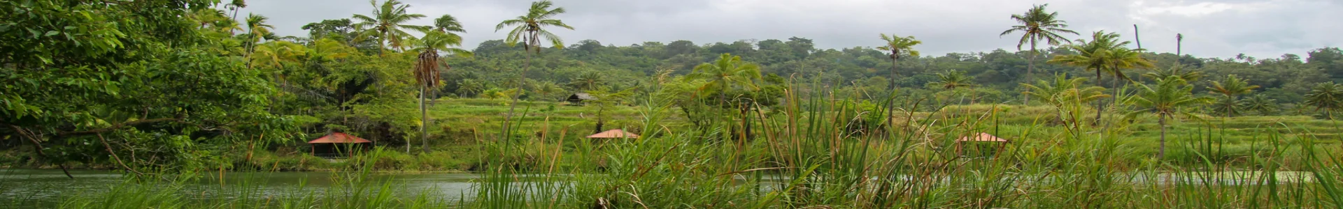 Forfait eSIM Timor oriental
