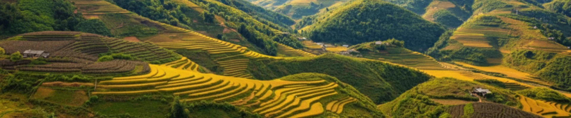 Forfait eSIM Viet nam